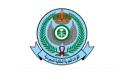 Royal Saudi Air Defense Forces